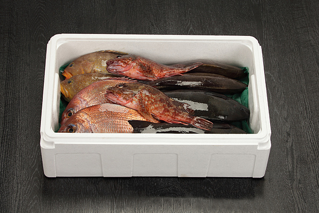 鮮魚セット（天然魚）｜株式会社 三共物商｜水産養殖用飼料の研究開発